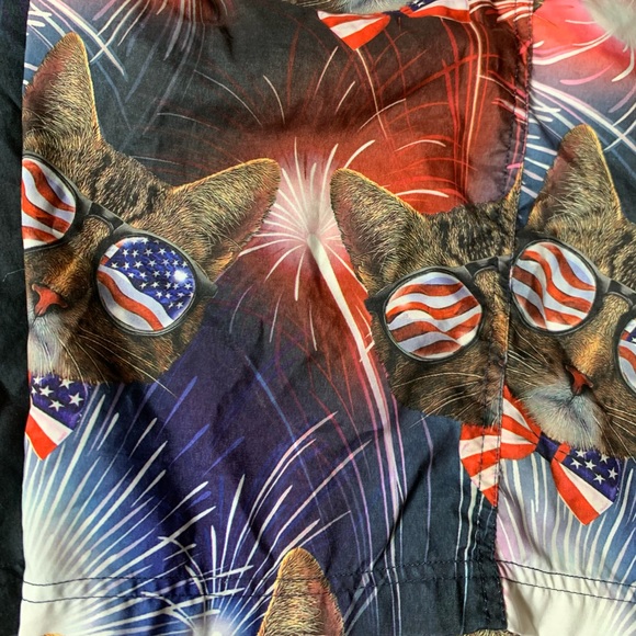 M Crazy Unique CATS & Fireworks Patriotic Shorts!! - Picture 11 of 12